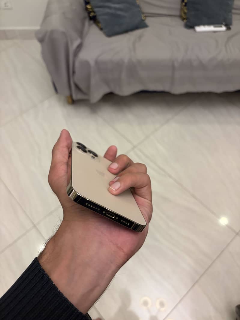 Apple iPhone 13 Pro Max 4