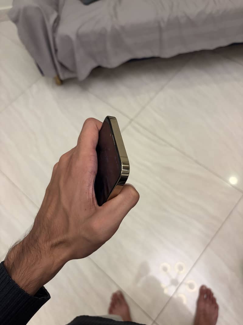 Apple iPhone 13 Pro Max 5