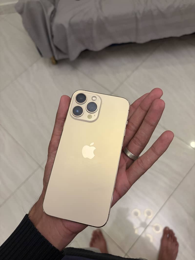 Apple iPhone 13 Pro Max 6