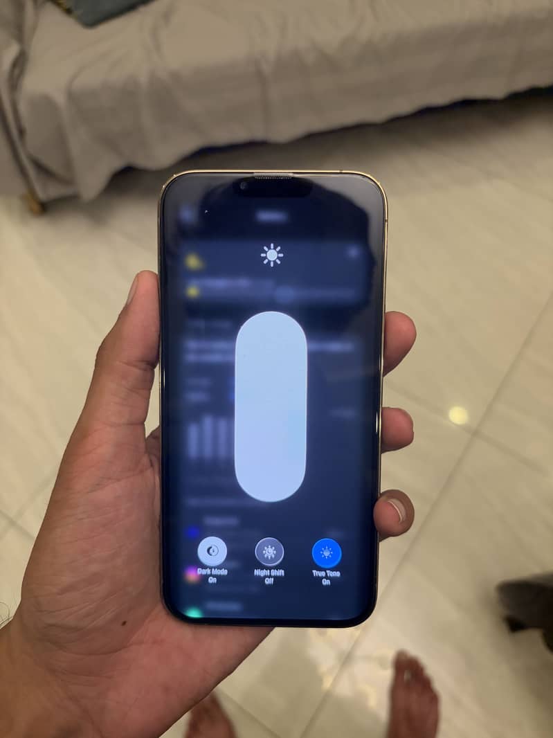 Apple iPhone 13 Pro Max 9