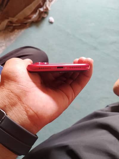 iPhone 11 bypass