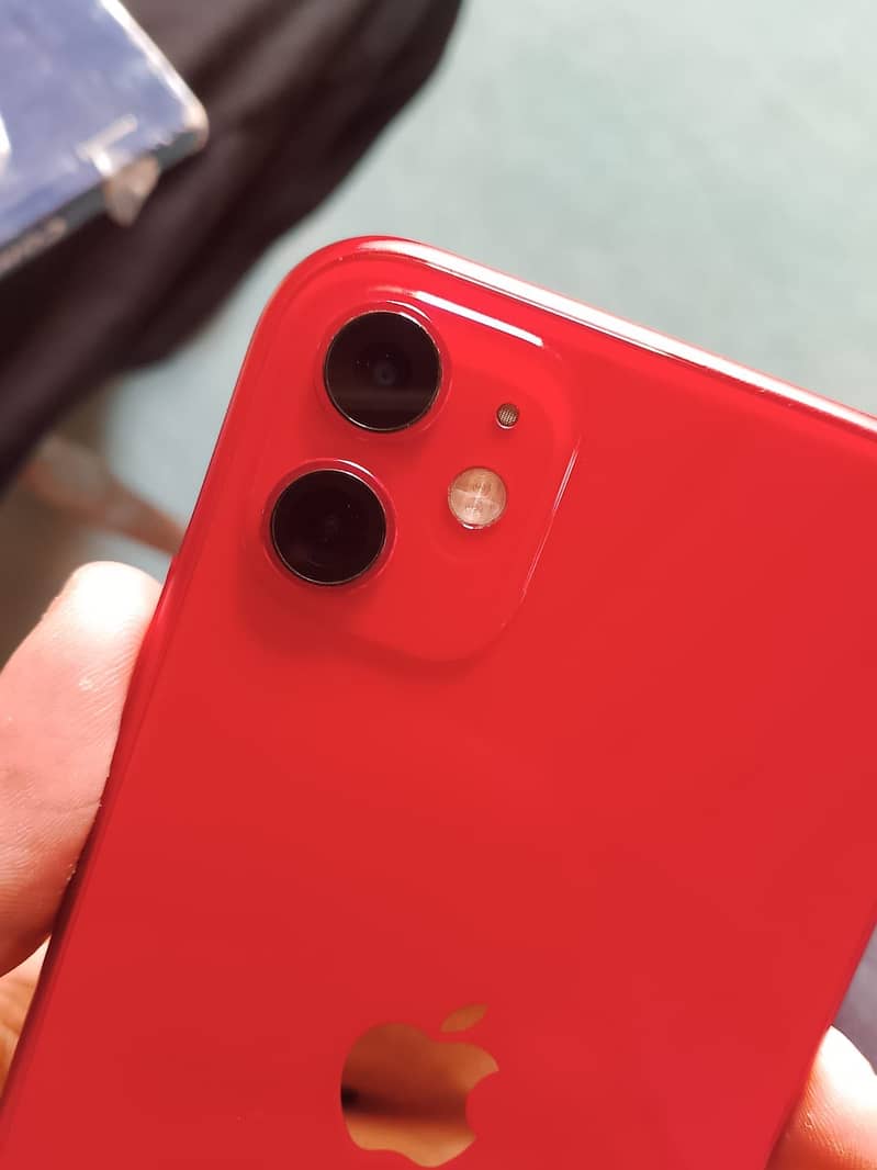 iPhone 11 bypass 1