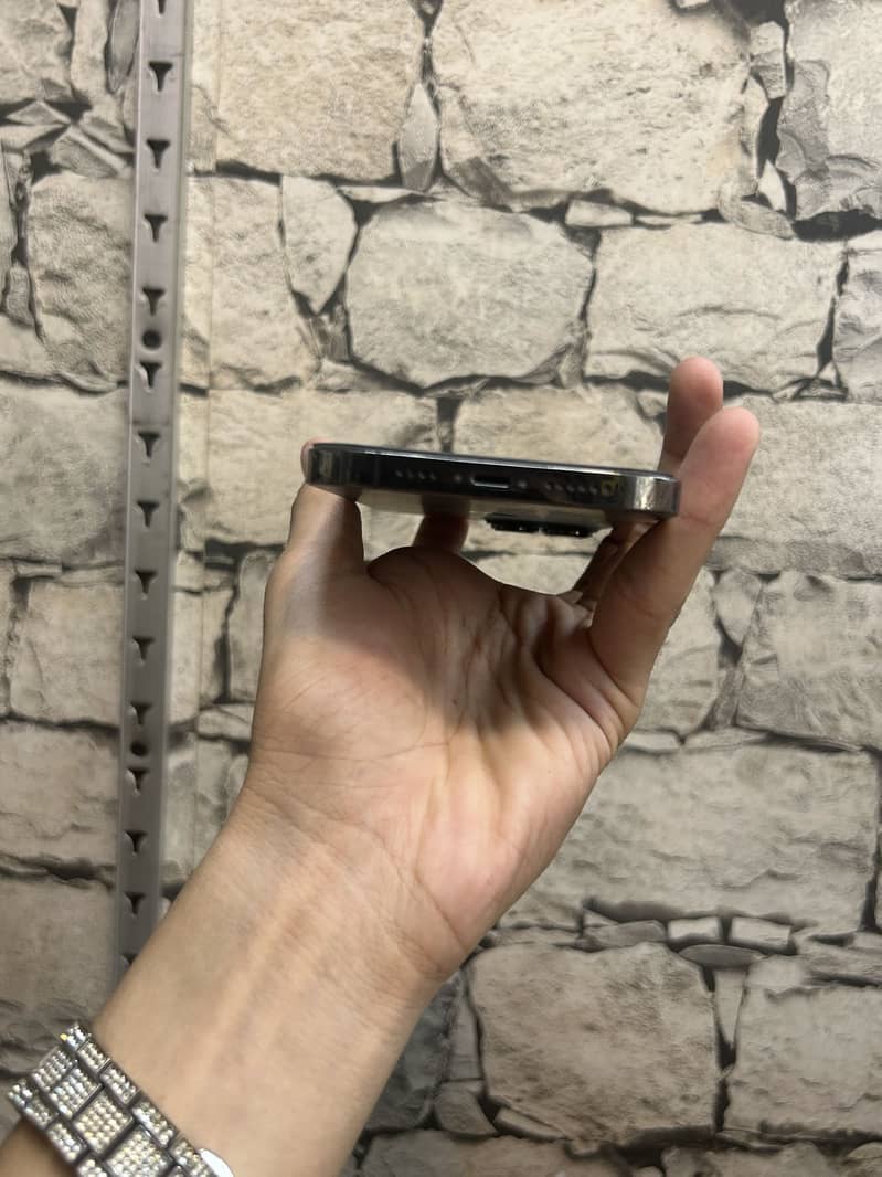 Apple iPhone 13 Pro Max 1