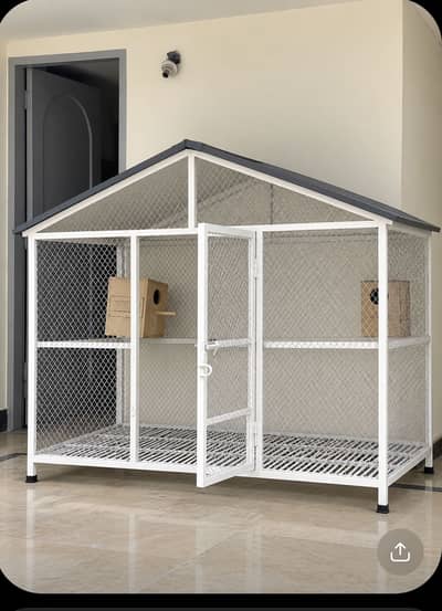 Birds and hen’s cages