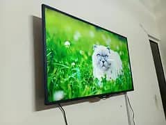 43, INCH TCL smart led tv New 4k warranty