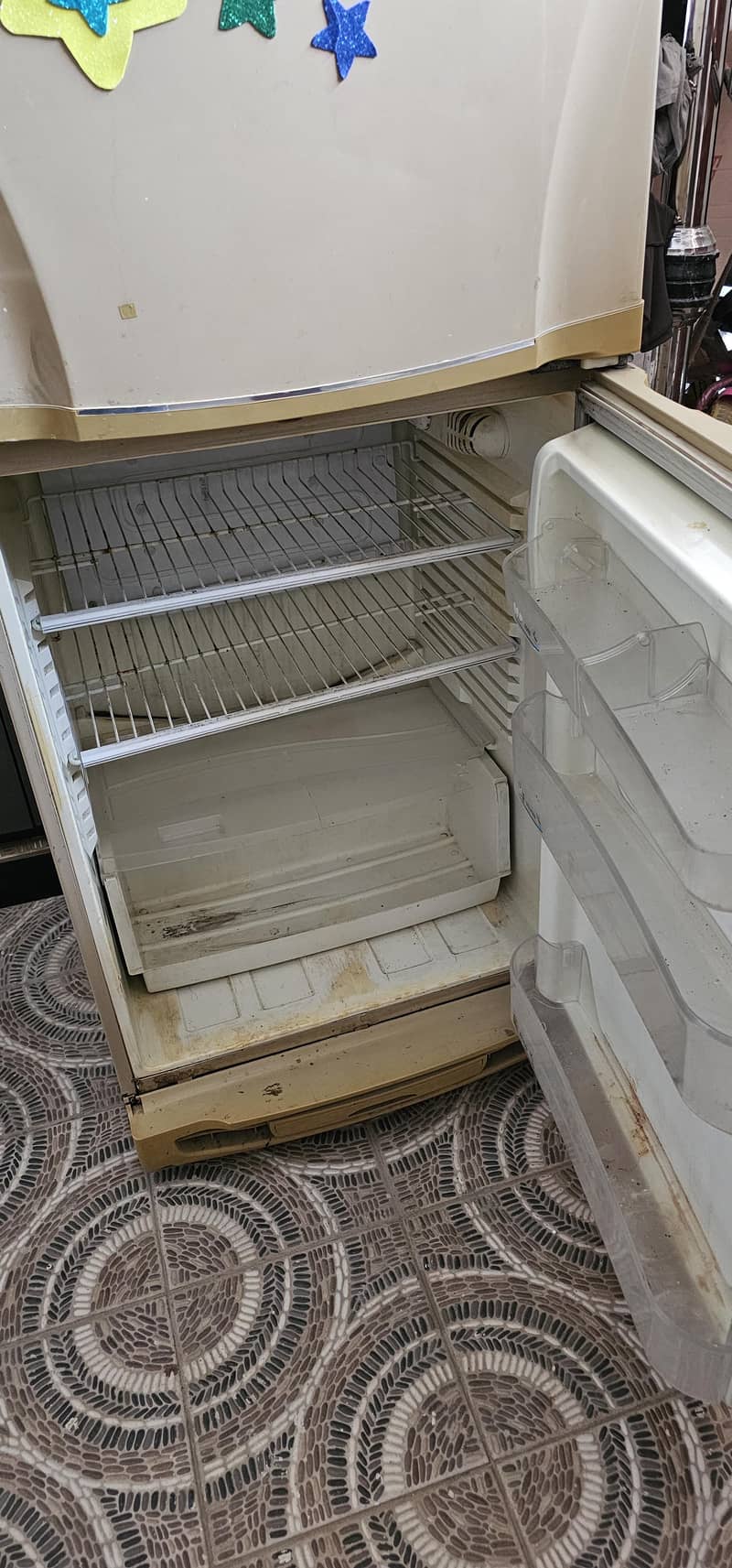 pel fridge 5