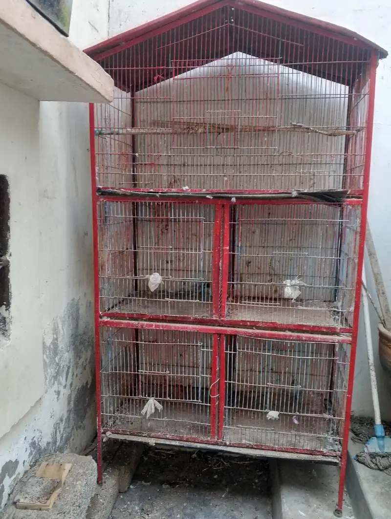 بڑا لوہے کا پنجره  پنجرےیں 5 خانے ہیں  منوبوط لوہے کا فریم ص5ن — photo 3