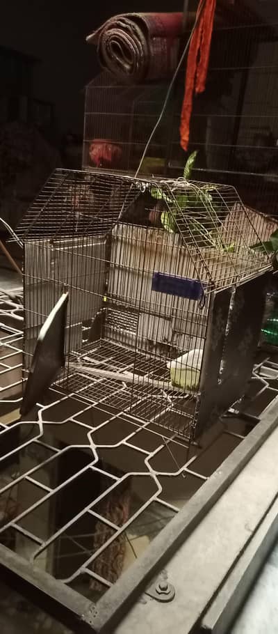 pinjary for sale