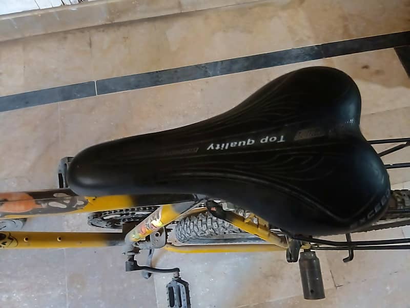 phoenix bicycle 2