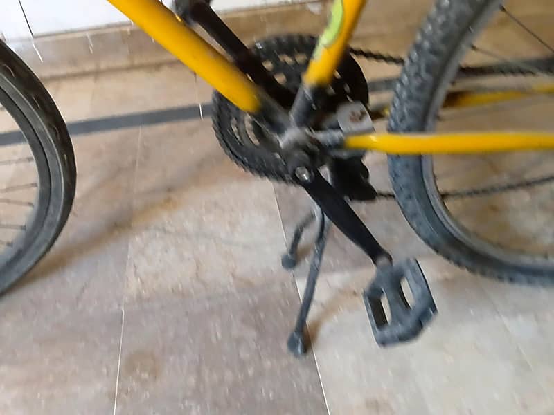 phoenix bicycle 5