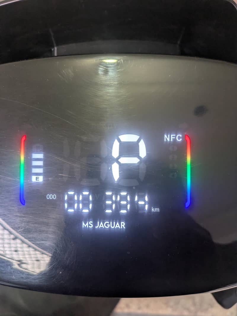 Ms Jaguar 5