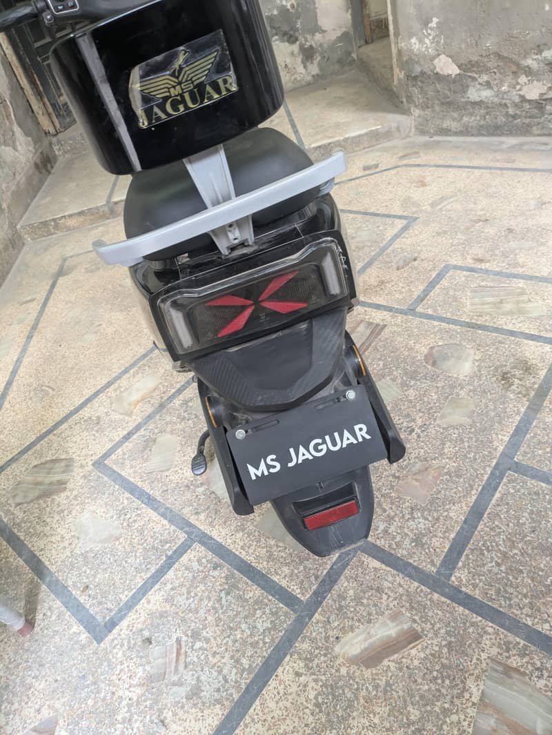 Ms Jaguar 6