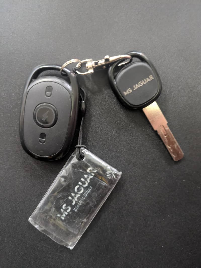 Ms Jaguar 8
