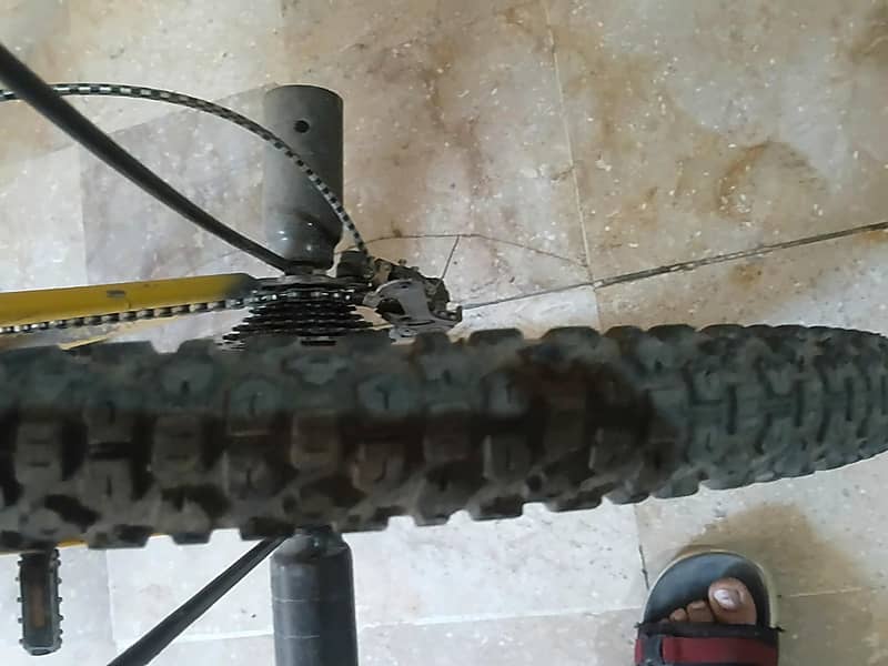 phoenix bicycle 1