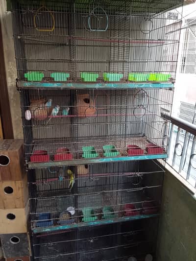 Master cage with heavy metal & Boxes for Love Birds