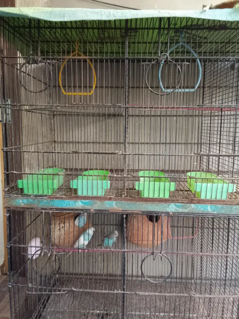 Master cage with heavy metal & Boxes for Love Birds — photo 3
