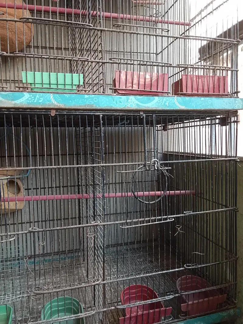 Master cage with heavy metal & Boxes for Love Birds — photo 6