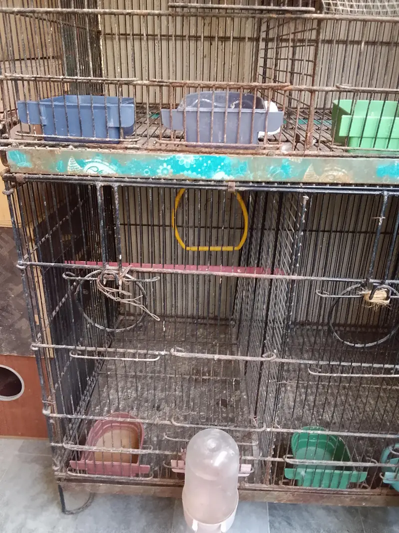 Master cage with heavy metal & Boxes for Love Birds — photo 7