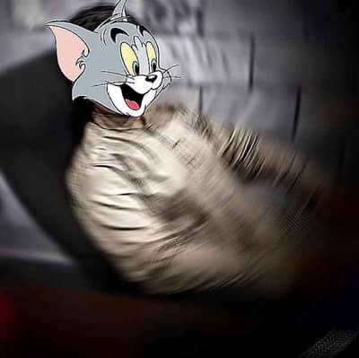 SAAD