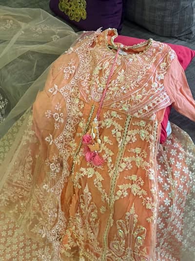 Sana Safinaz 3 piece (net with soft organza duppatta)