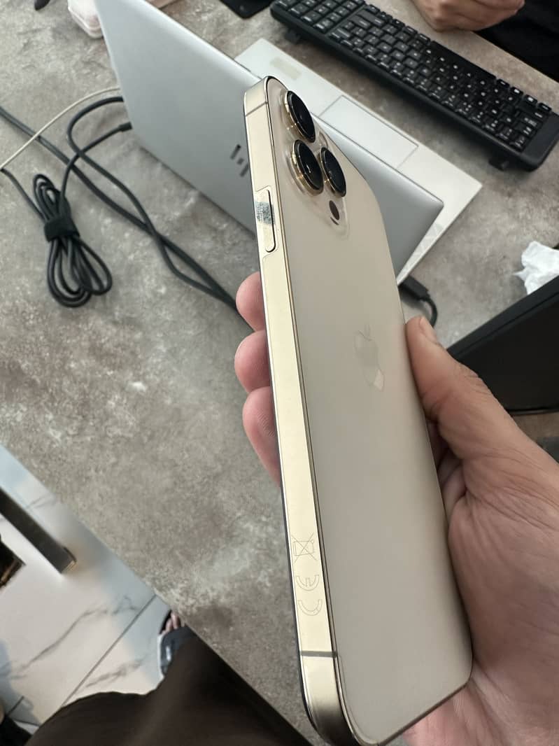 Apple iPhone 13 Pro Max 6