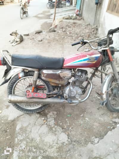 shoqeen logo k lia