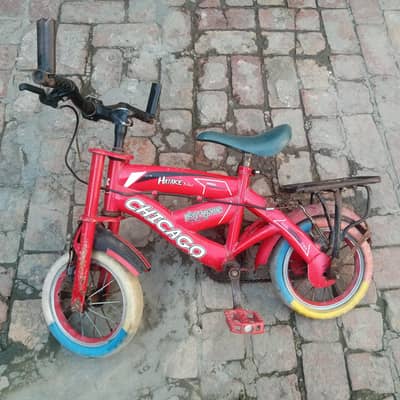 baby Hatake Chicago cycle
