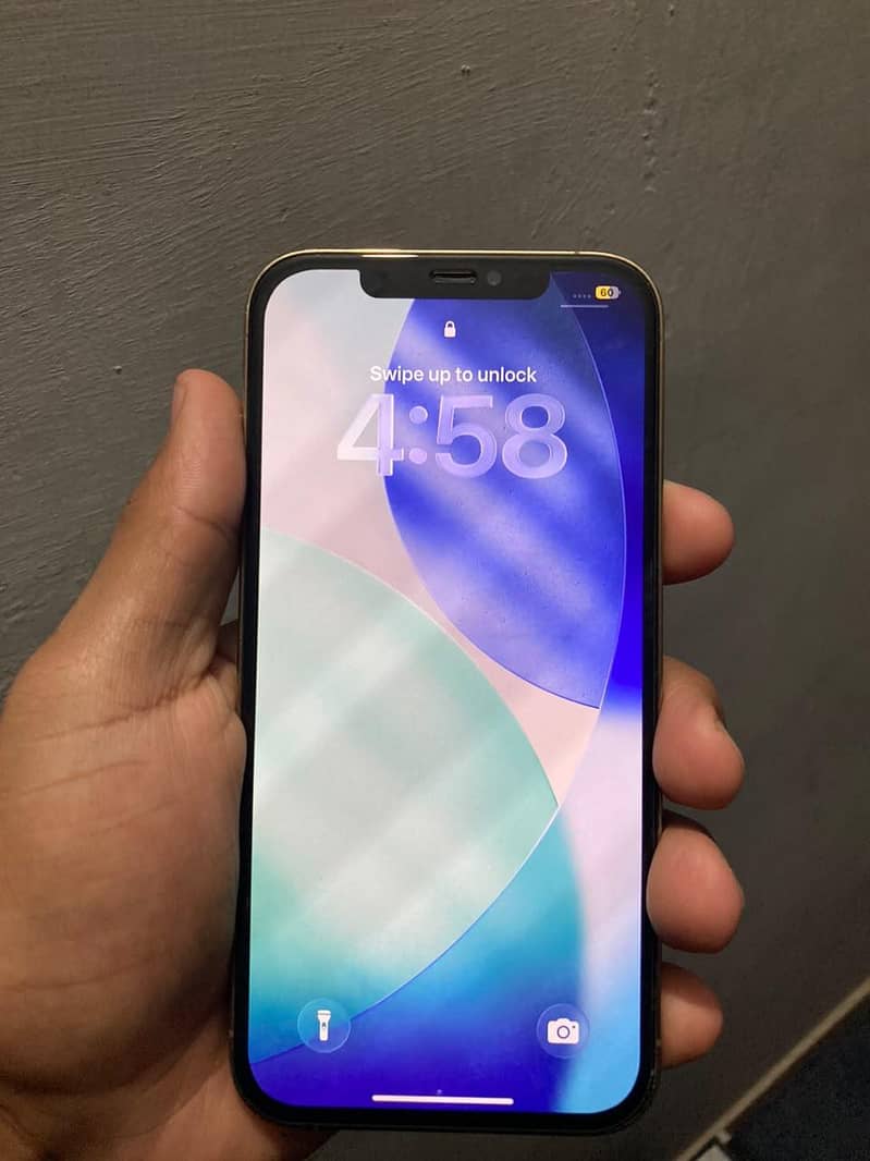 Apple iPhone 12 Pro Max 2