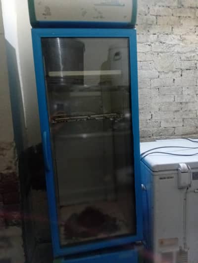 display freezer