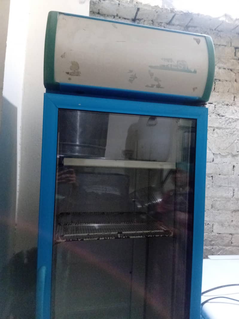 display freezer 1