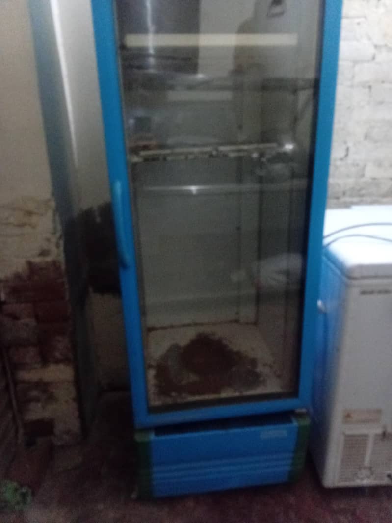 display freezer 2