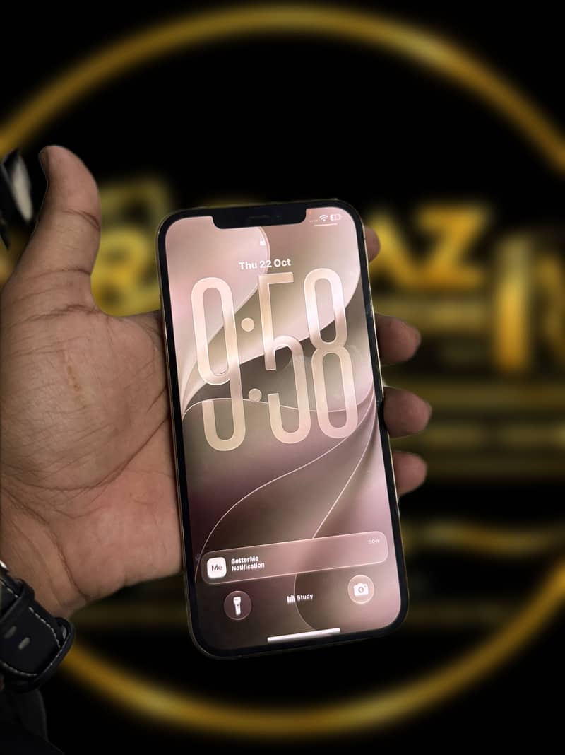 Apple iPhone 12 Pro Max 1