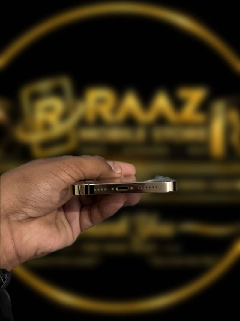 Apple iPhone 12 Pro Max 2