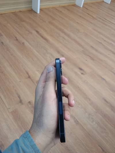 Apple iPhone 13 waterpack 81 health