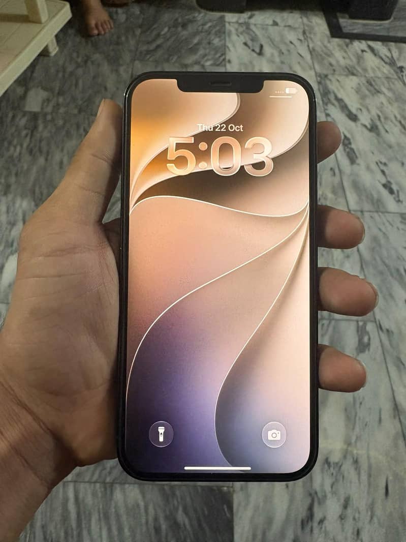 Apple iPhone 12 Pro Max 4