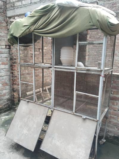 henn cage 4 portion 03044821221