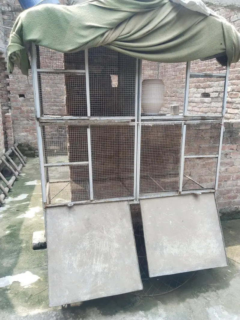 henn cage 4 portion 03044821221 — photo 2