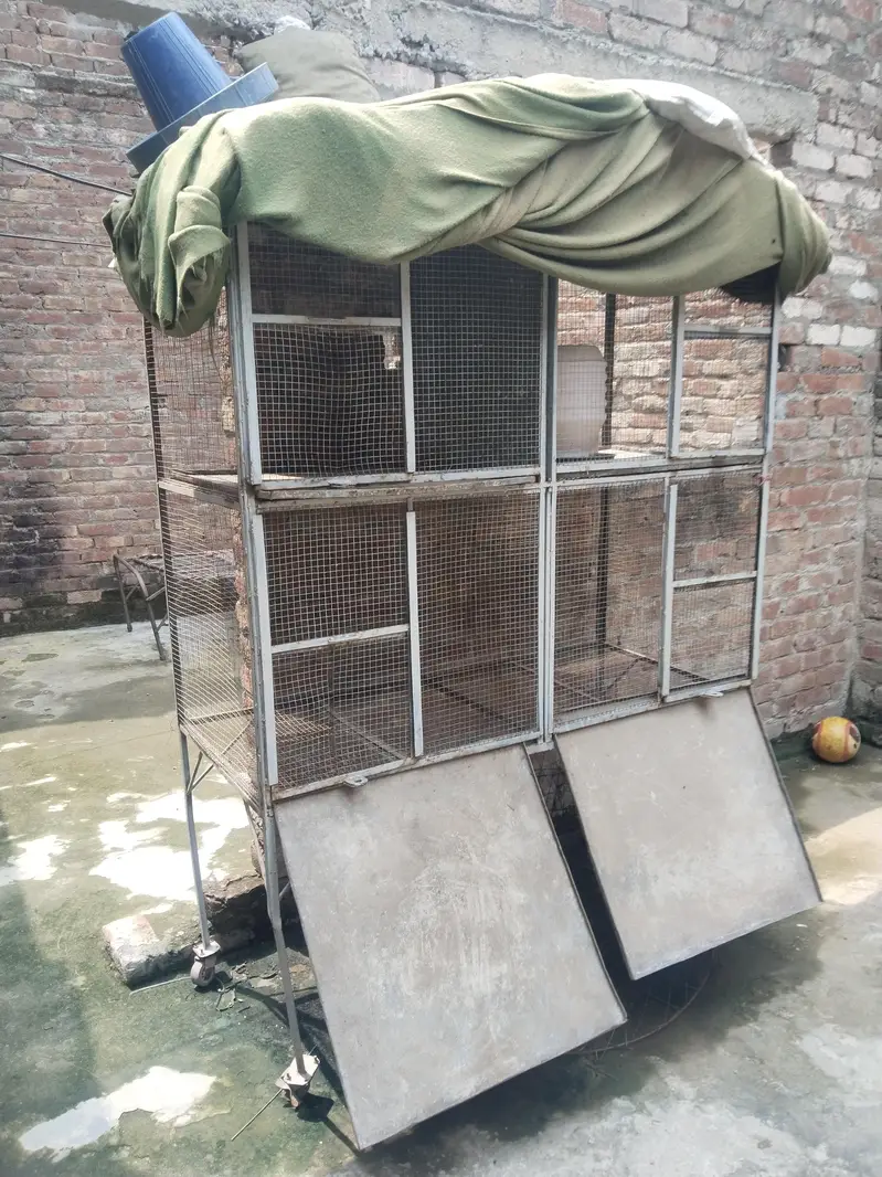 henn cage 4 portion 03044821221 — photo 4