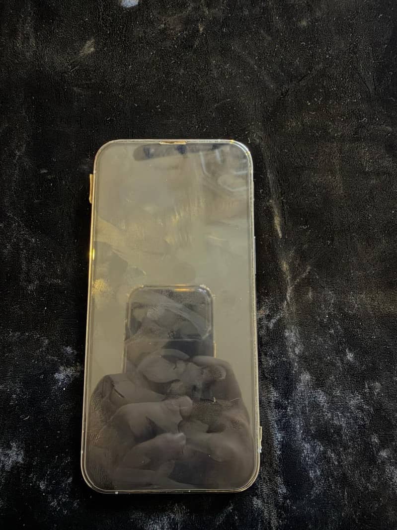 Apple iPhone 13 Pro 1