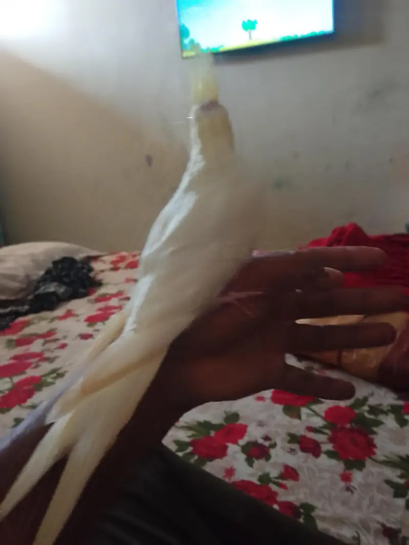 best hand teamed — photo 2