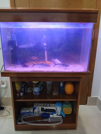 Fish Aquarium with 13 fish