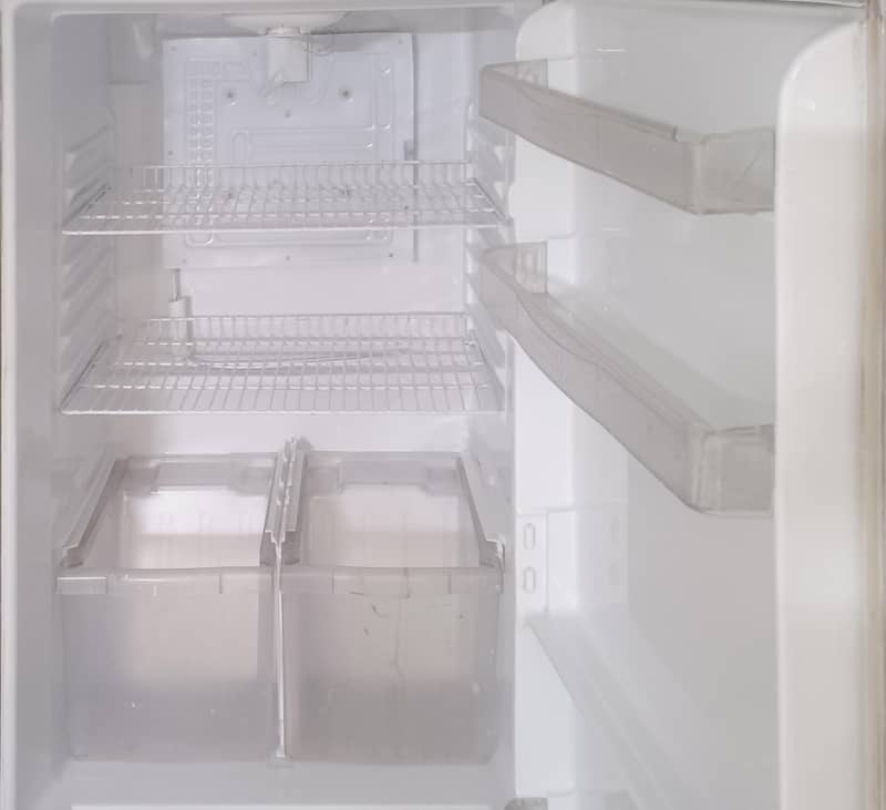 Waves Refrigerator 5