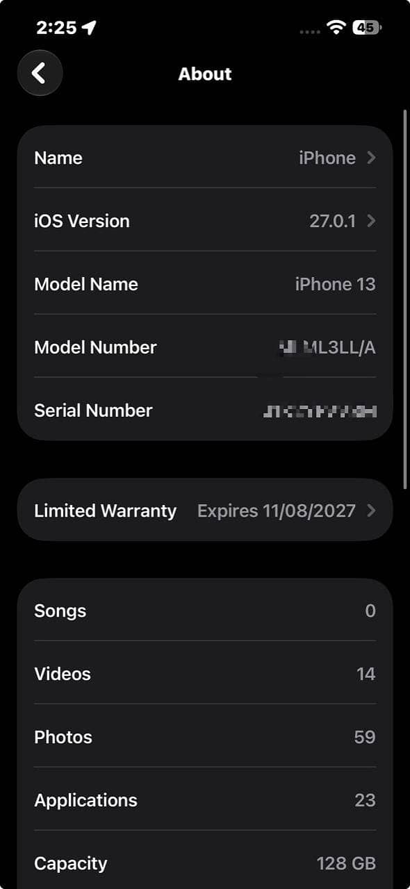 Apple iPhone 13 0