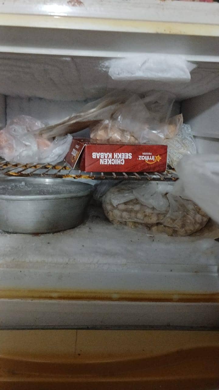 Dawlance Refrigerator 4