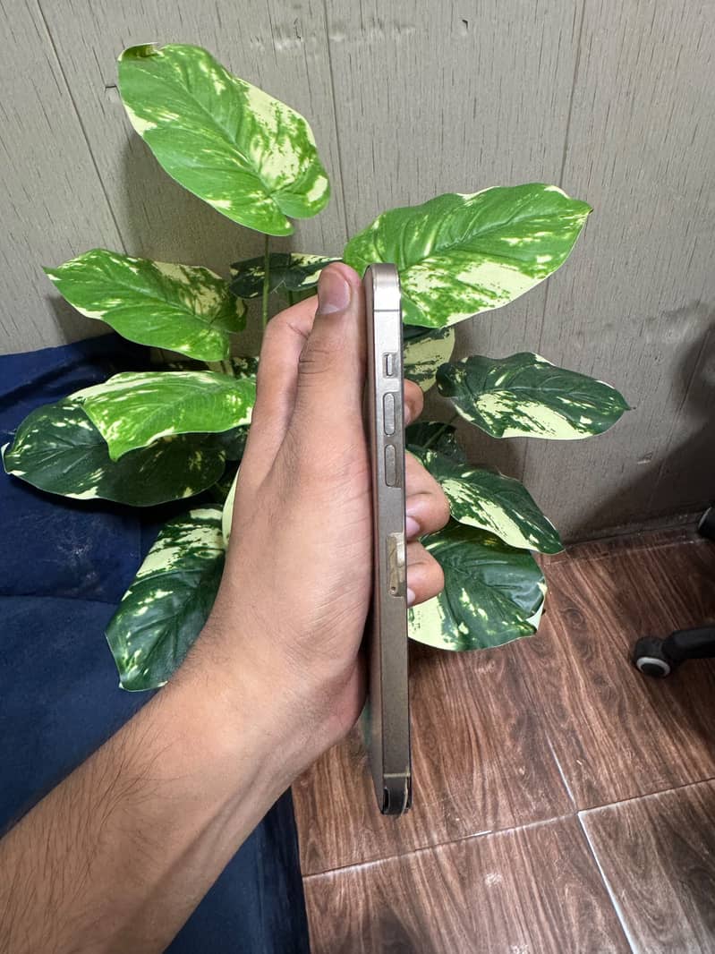 Apple iPhone 14 Pro Max 3