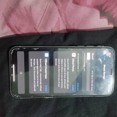 Apple iPhone X