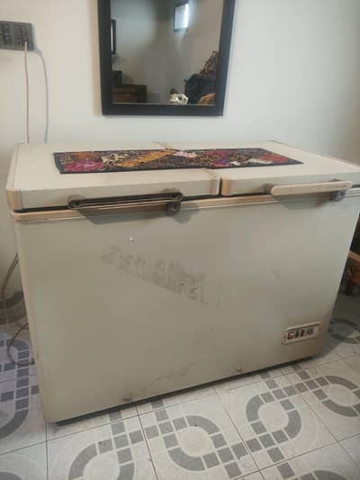 Double Door Deep Freezer