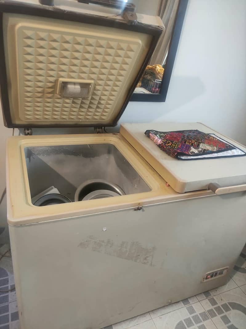 Double Door Deep Freezer 1