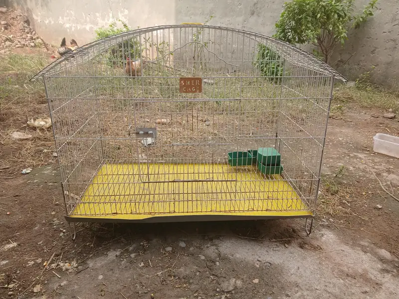 cage for hens 2 or 3 or 4 hens — photo 2