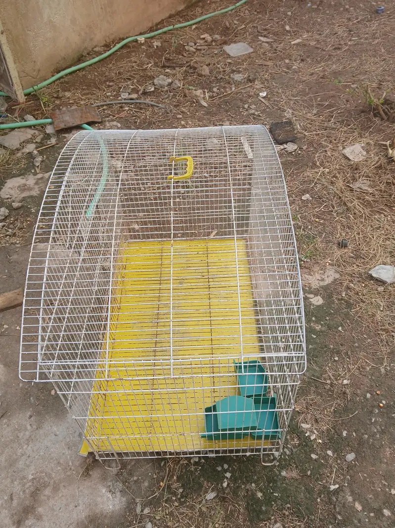 cage for hens 2 or 3 or 4 hens — photo 3
